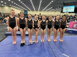 Image result for St Bedes Gymnastics Club