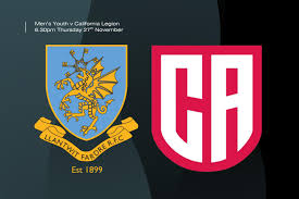 Image result for Llantwit Lions