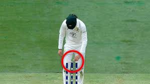 Image result for Old Tauntonians and Romsey Cc