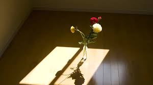 Image result for 自宅突然死 単身世帯