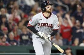 Image result for Schneemann