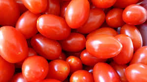 Bildergebnis für tomaten