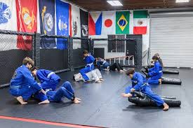 Image result for Valiant Gymnastics Club