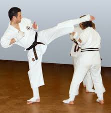 Image result for Kenshukai Karate
