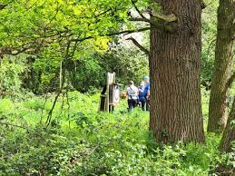 Image result for Panther Bowhunters Field Archery Club