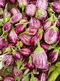Afbeeldingsresultaat voor rosa bianca eggplant