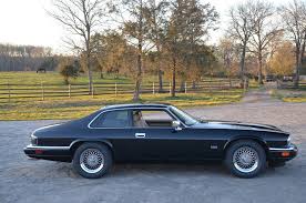 Image result for Black Crystal 1994 Jaguar