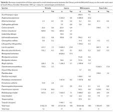 Image result for Pseudomyxus capensis