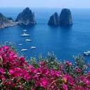Capri Boats: Welcome