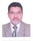 Adel Abdel Aleem Shaheen