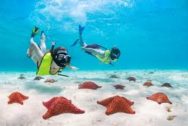 Image result for Stalybridge Snorkel Club