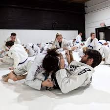 Image result for Team Renegade BJJ & Judo