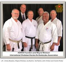 Image result for Junsui Shotokan Karate Do