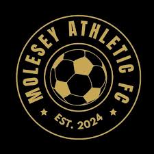 Image result for Molesey Juniors Football Club