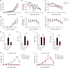 Attēlu rezultāti vaicājumam “Dianema depressum plasmodium”