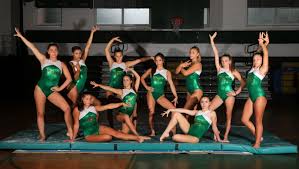 Image result for Redcar School Of Gymnastics