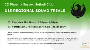 Image result for Cd Phoenix Netball Club