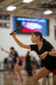 Image result for Bushey Eagles Badminton Club