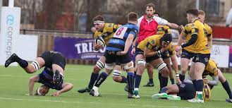Image result for Dings Crusaders Rugby Football Club