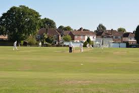 Image result for Fowey Cricket Club