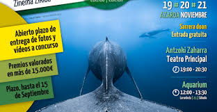 Image result for Peninsula Sub Aqua