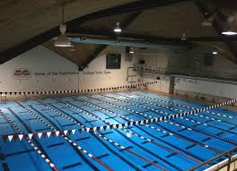 Image result for Ware Swimming Club