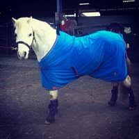 Image result for Weybridge Equestrian Centre