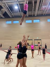 Image result for Wigan Seagulls