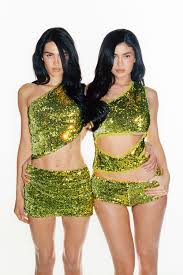 Image result for Arnika