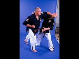 Image result for Imi Jishin Ryou karate do