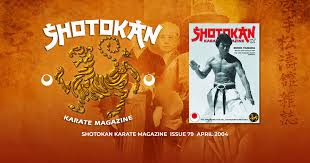 Image result for Junsui Shotokan Karate Do