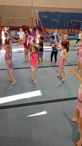 Image result for South Essex Gymnastics Club
