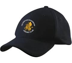 Image result for Yelverton Bohemians Cricket Club