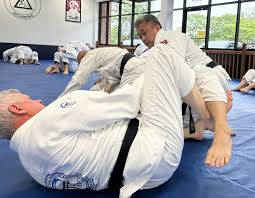 Image result for Bushin Kenpo Kai Schools