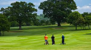 Image result for Belton Park Golf Club