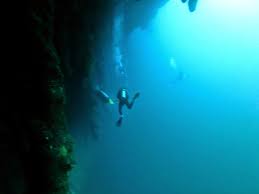 Image result for Blue Water Diving