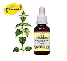 Attēlu rezultāti vaicājumam “Lamium album”