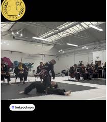 Image result for widnes judo