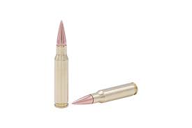 Image result for Winfrith Sac