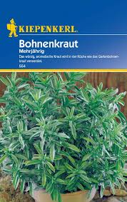 Image result for Bohnenkraut