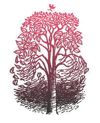 Image result for LITTLE GADDESDEN CRICKET CLUB