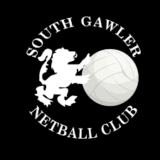 Image result for Southfields Netball Club
