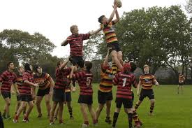 Image result for Saltash RFC