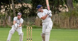 Image result for Effingham Cricket Club