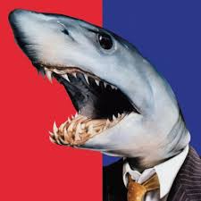 Image result for Leeds Sharks