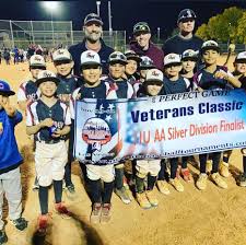 Image result for Sidewinders Baseball Club