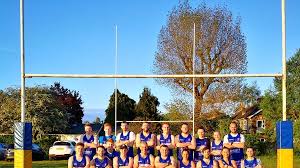 Image result for Camelot Netball Club