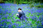 http://3.bp.blogspot.com/-js12ll-YDg4/TbCQqgwK_6I/AAAAAAAAArY/YfWvKqUxKic/s1600/BrightStar.jpg