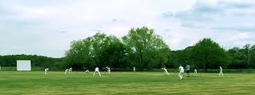 Image result for Effingham Cricket Club