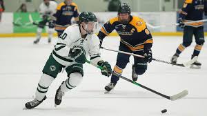 Image result for Plymouth Marjon Hockey Club